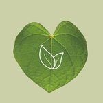Naturtint - Nasze naturalne składniki